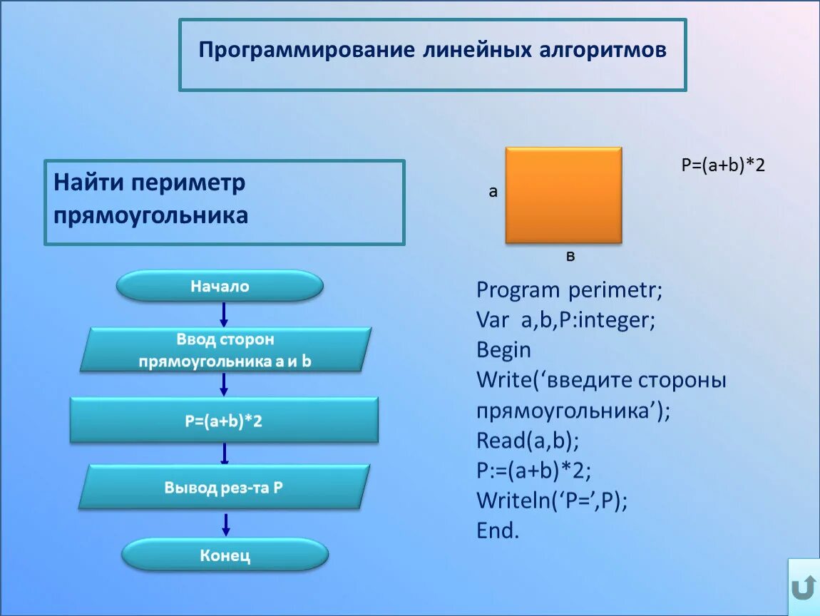 Программирование линейных алгоритмов на языке Паскаль 8 класс. Программирование линейных алгоритмов блок-схемы. Информатика 8 класс программирование линейных алгоритмов в Паскале. Блок схема вычислить периметр прямоугольника. Алгоритм презентация информатика 8 класс