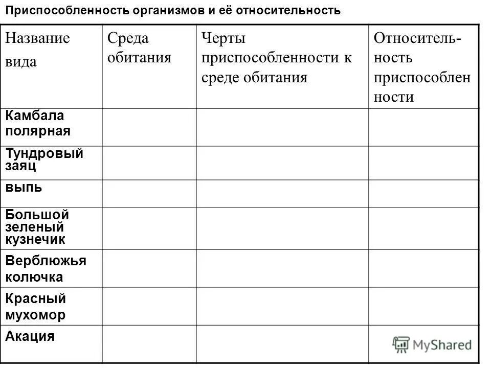 Практическая работа изучение при разных условиях. Таблица по биологии приспособленность к среде обитания. Виды приспособленности организмов к среде обитания. Приспособление организмов адаптации таблица.