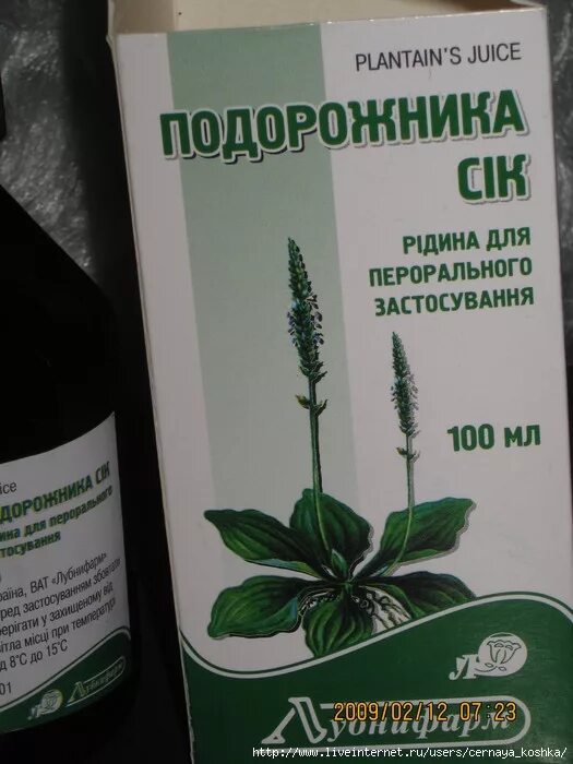 Подорожник большой лекарственные препараты. Сок подорожника. Препараты на основе подорожника. Подорожник арго. Настойка подорожника инструкция.