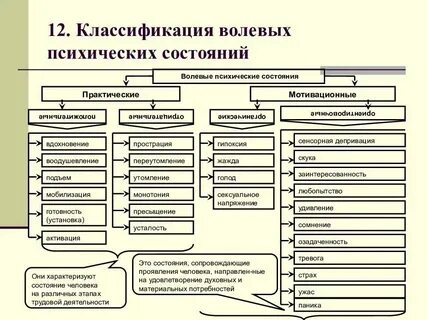 К интеллектуальным состояниям относятся