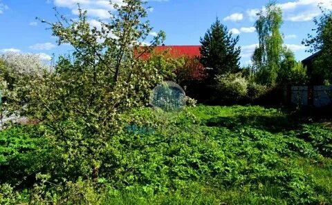 Снт нектар жабкино