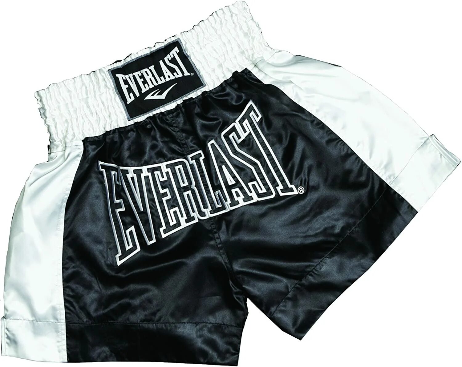 Кикбоксинг одежда. Шорты Everlast. Шорты Everlast мужские. Шорты эверласт черные для бокса. Everlast Muay Thai.