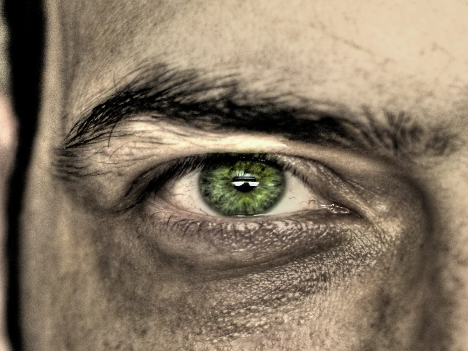 Глаза встретились взглядом. Глаза мужские. Зелёные глаза. Глаз картинка. Красивые зеленые глаза мужские.