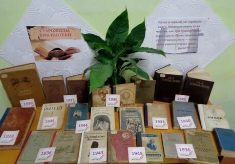 День библиотеки выставки