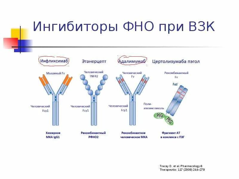 Фно 2. Ингибиторы фно альфа. фактор некроза опухоли альфа. ингибиторы фактора некроза опухоли-альфа (и-фно-?). ингибиторы фактора некроза опухоли альфа.