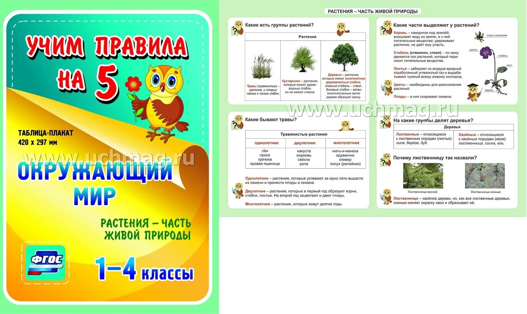 Фгос по окружающему миру 1 4 класс. Плакат окружающий мир. Постеры по окружающему миру для начальной школы. Плакат обучающие для начальной окружающий мир. Плакат окружающий мир 1 класс.