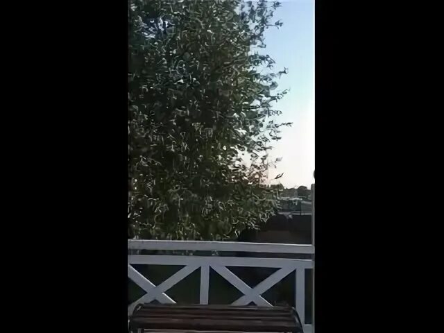 Песни татарский яз киля яз киля