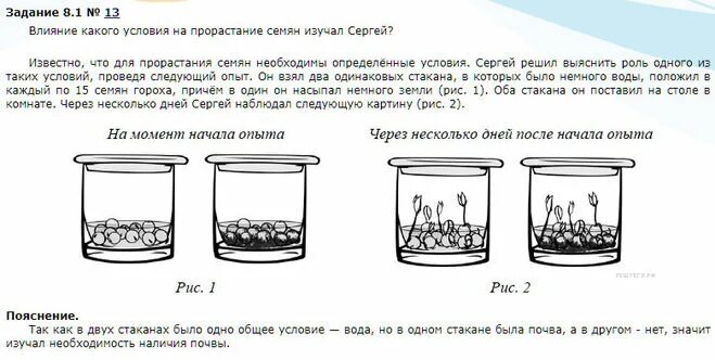 Известно что для прорастания семян необходимы определенные. Влияние какого условия на прорастание семян. Опыт влияние температуры на прорастание семян гороха. Влияние какого условия на прорастание семян иллюстрирует этот опыт.