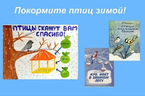 Как помочь птицам зимой стенгазета шаблоны