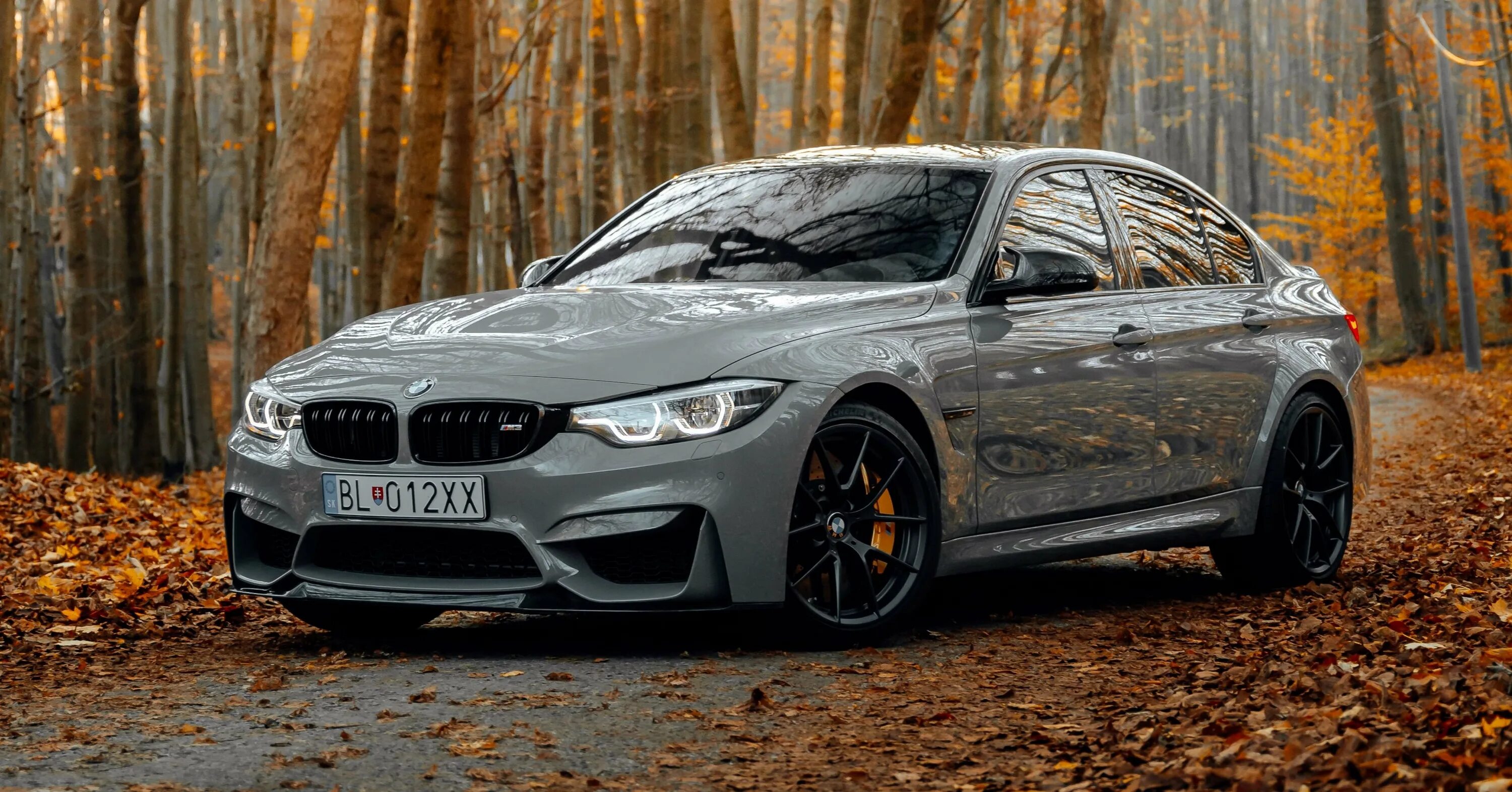 Живые обои м5. BMW m3 2023. BMW m3 320. Autumn BMW m3 f80.