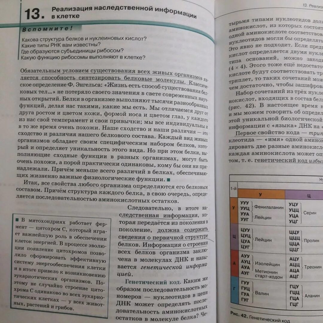 Биология 8 класс Сивоглазов оглавление. Биология 8 класс Сивоглазов Сапин Каменский. Биология учебник 8 класс Сивоглазова. Сивоглазов Сапин биология 8 класс учебник.