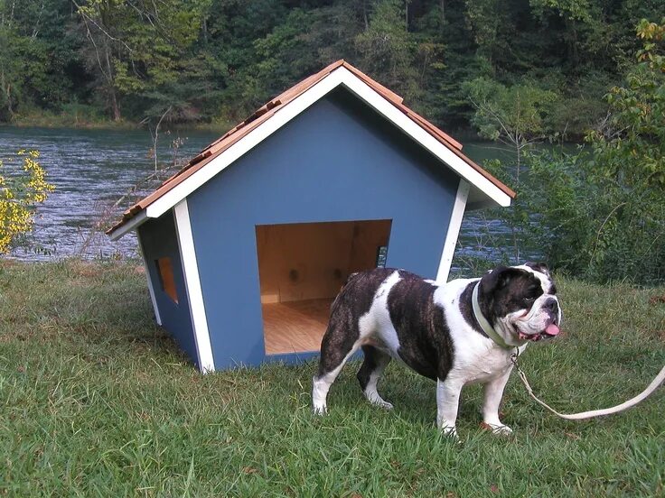 Линии в the dog house. Будка терри 1700. The dog house dog or alive демо. Dog house. Dog shelter kennel plasns.