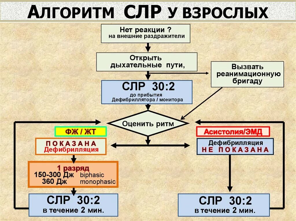 Алгоритм действий при сердечно легочной реанимации. Алгоритм базовой сердечно легочной реанимации у детей. Алгоритм проведения базовой СЛР. Базовая СЛР алгоритм. Алгоритм базовой сердечно-легочной.