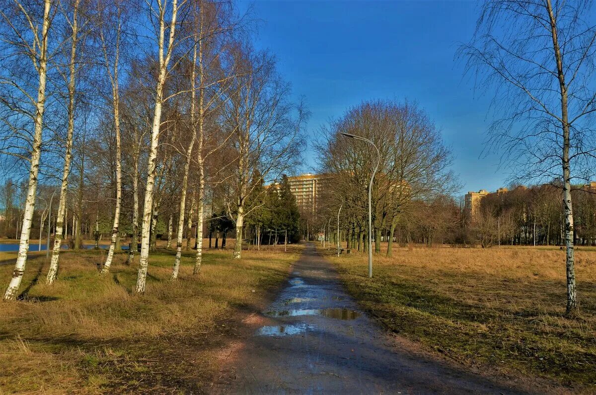 Парк авиаторов фото. Парк Авиаторов Санкт-Петербург. Парк Авиаторов Агалатово. Парк Авиаторов СПБ весной. Холм в парке Авиаторов в Санкт-Петербурге.