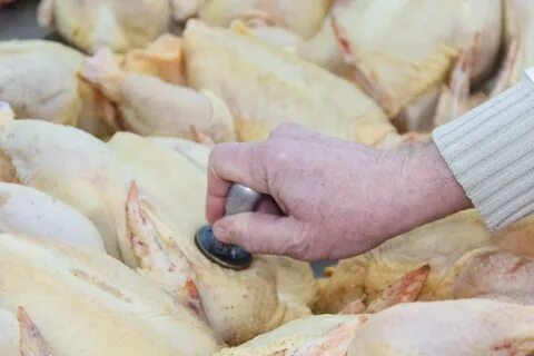 Реализация продукции животного происхождения