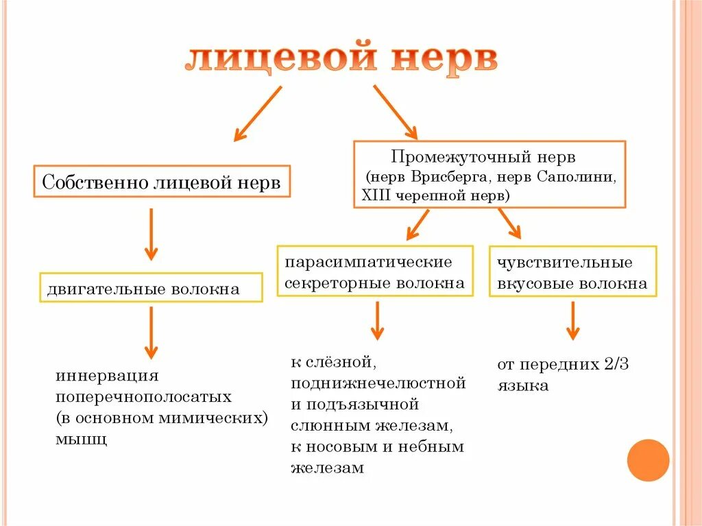 Волокна лицевого нерва. Промежуточно лицевой нерв. Промежуточный нерв лицевого нерва. Узел промежуточного нерва. Лицевой и промежуточный нервы.