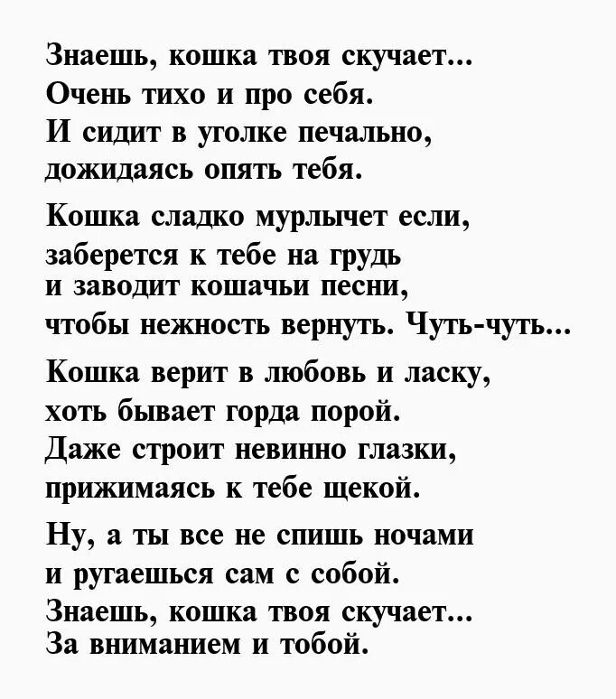 Люблю кота стихи. Красивое стихотворение про кошку. Люблю тебя мой котенок. Стих про любимого кота. Стихи про кошек красивые.