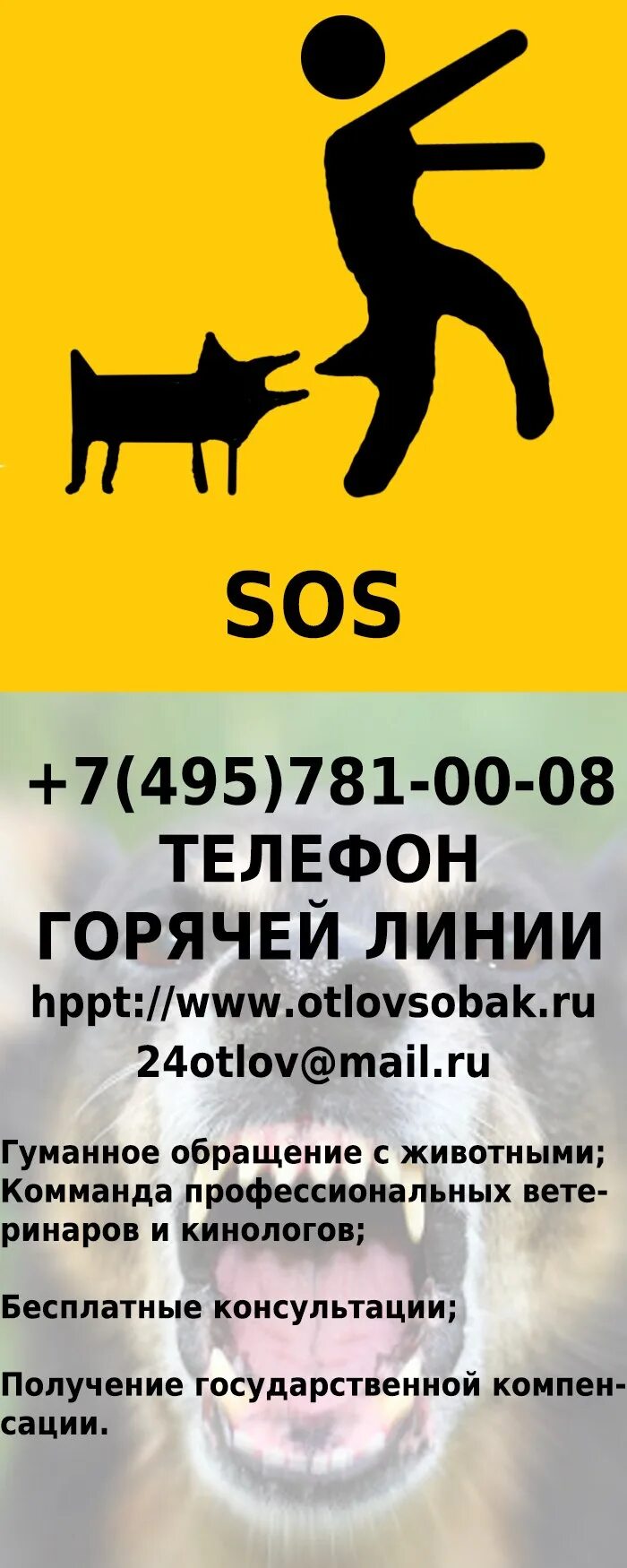 Номер службы по отлову собак. Номер службы отлова животных. Номер телефона отлова собак.