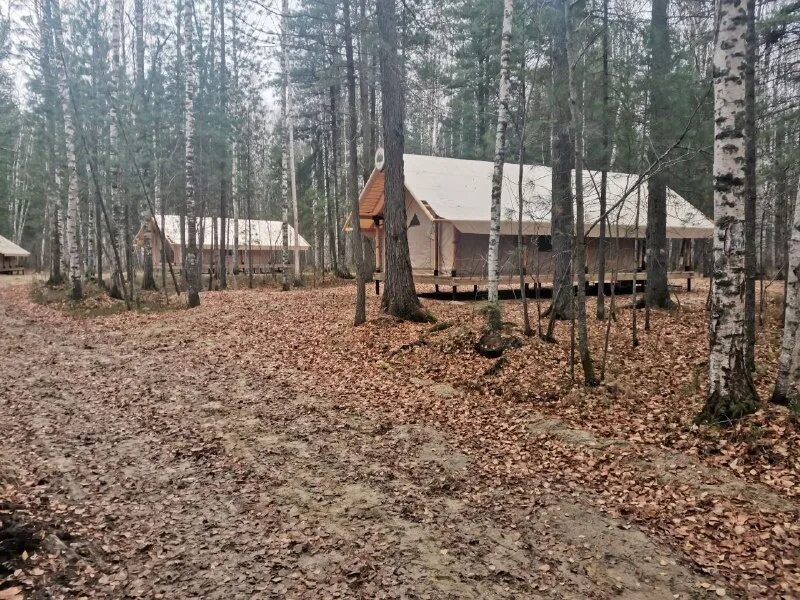 Ягом нижневартовск лесной комплекс. Глэмпинг. Комплекс ягом. Парк ягом. Комплекс ягом.