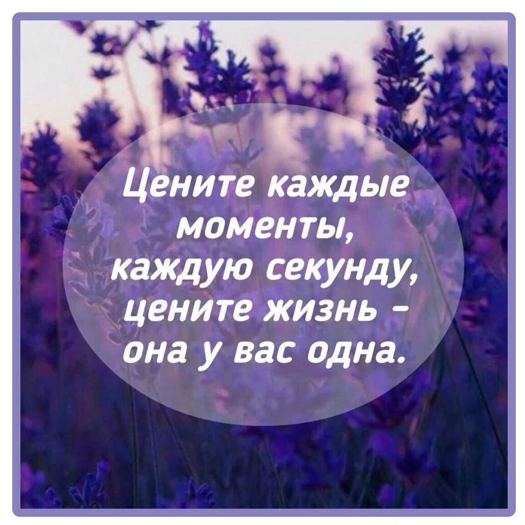 Жить уметь ценить. Цените каждый день. Цените каждое мгновение жизни. Цените каждый миг цитаты. Цените каждую секунду.