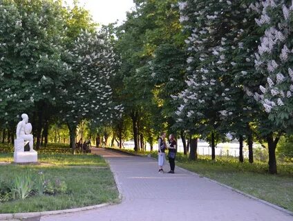 Донецк аллея