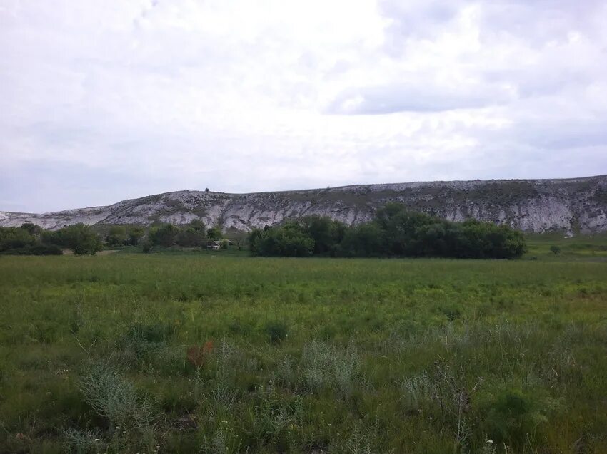 Село петропавловское воронежской области. С. Старомеловая (Петропавловский район. Петропавловский район, Старая меловая. Демиденкдимиденнатал лет Воронежская область Петропавловский район. Старомеловая Воронежская область.