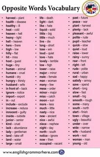 Little words перевод