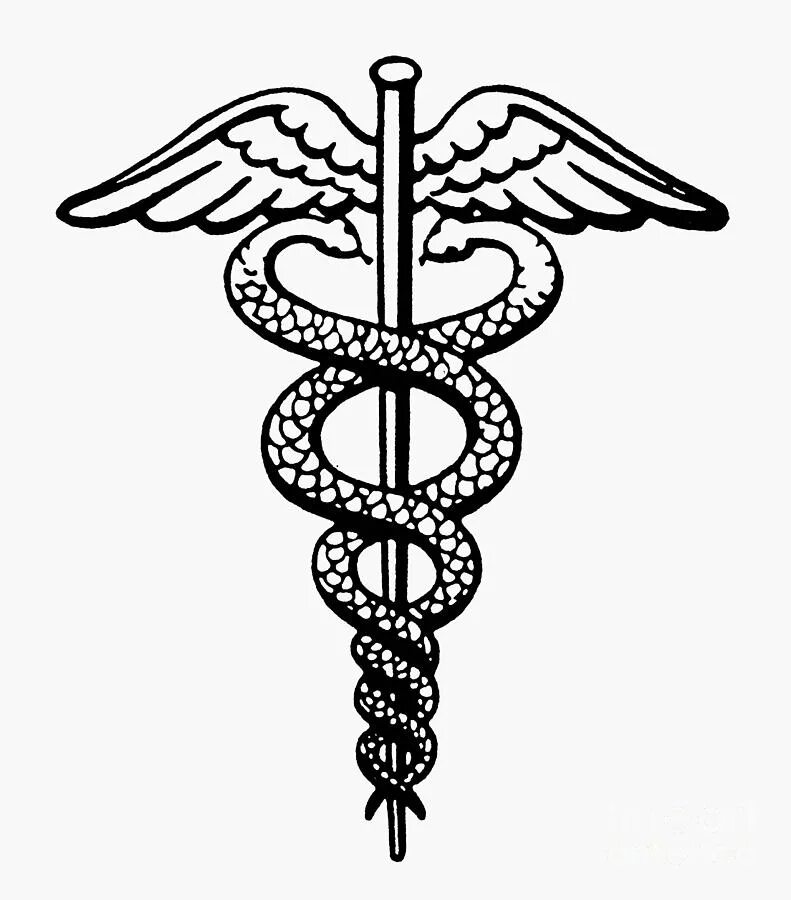 Уроборос лемниската. Кадуцей асклепия. Знак медицины кадуцей. Символ змеи. Кадуцей месопотамия.