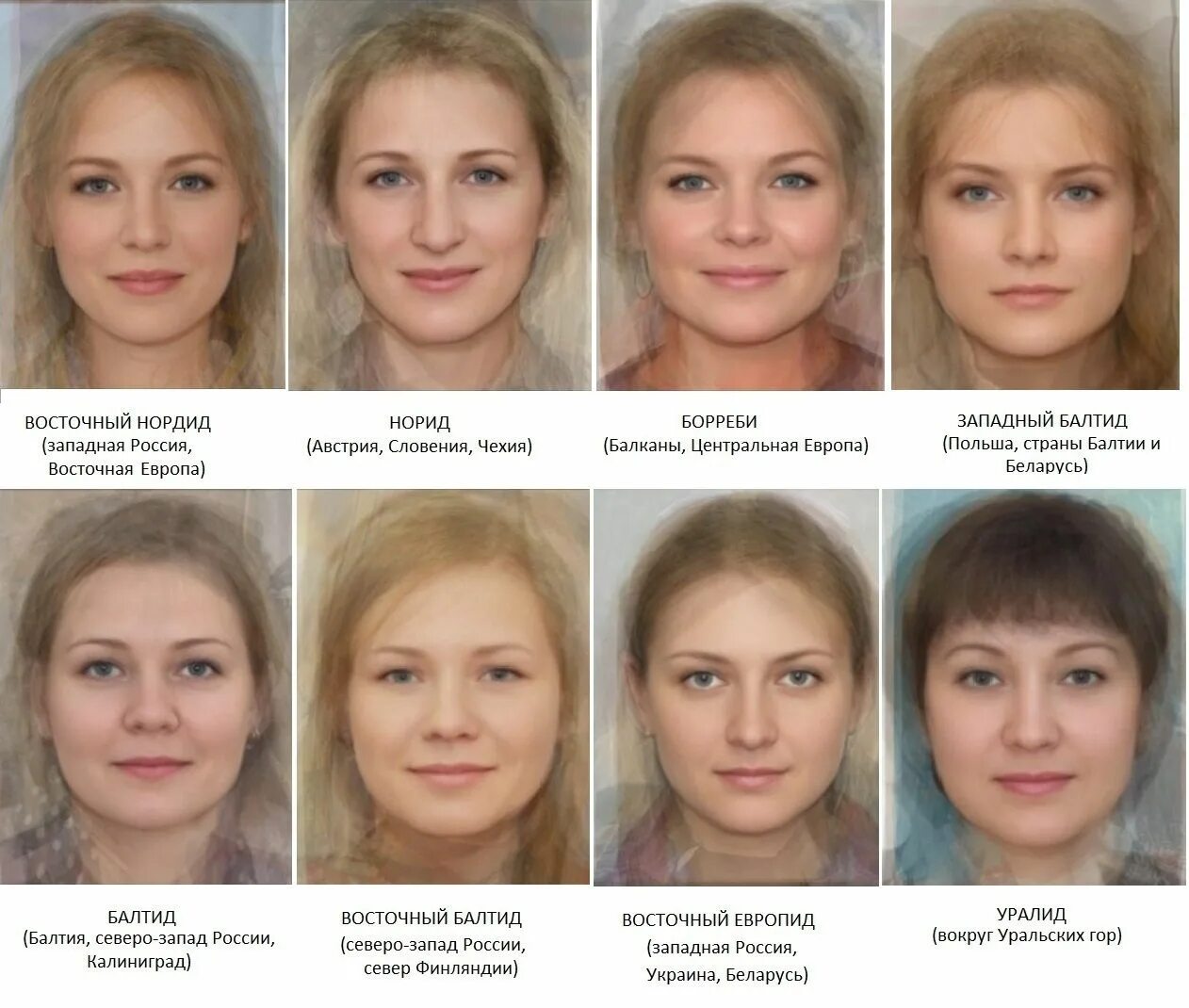 Различие красота. Балтид фенотип. Типы внешности у женщин. Типично русское лицо. Славянский Тип внешности.