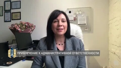 Юристы 15