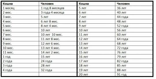 Кошачий Возраст на человеческий таблица. Возраст кота по человеческим меркам таблица по месяцам. Возраст кошки и человека соотношение таблица. Соотношение возраста кошки и чело. 6 месяцев кошке сколько