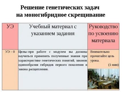 Решение задач на моногибридное скрещивание