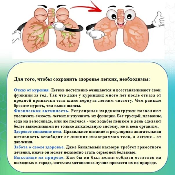 6 12 мая неделя сохранения здоровья легких. Здоровье легких. Здоровье легких презентация. Здоровье легких реферат. Сохранение здоровья легких.