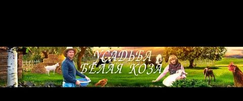 Свежее видео усадьба белая коза
