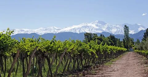 Mendoza