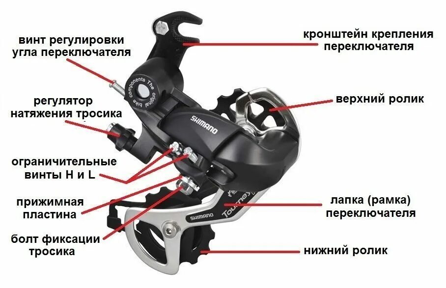 Регулировка скоростей на велосипеде своими руками. Регулировочные винты заднего переключателя велосипеда шимано. Задний переключатель велосипеда Shimano регулировочные болты. Регулировочные винты на переключателе скоростей велосипеда Shimano. Регулировочный винт Shimano Tourney.