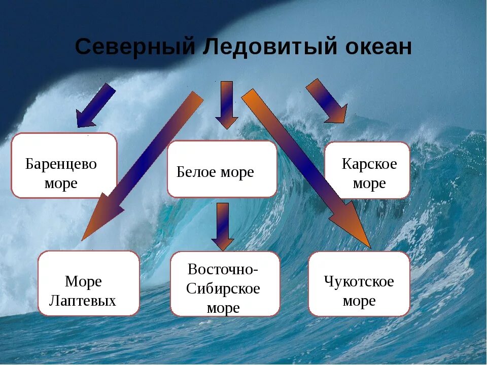 Какой океан омывает берега россии на севере