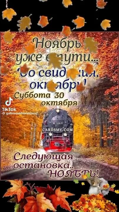 До 1 ноября