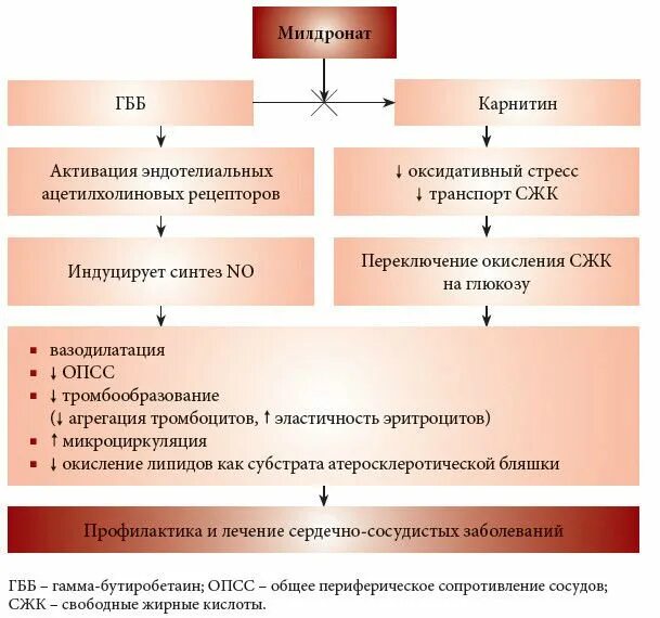 Цитопротекторы препараты. Механизм действия милдроната. Эффект милдроната на организм. Милдронат действие на организм. Мельдоний механизм действия на организм человека.