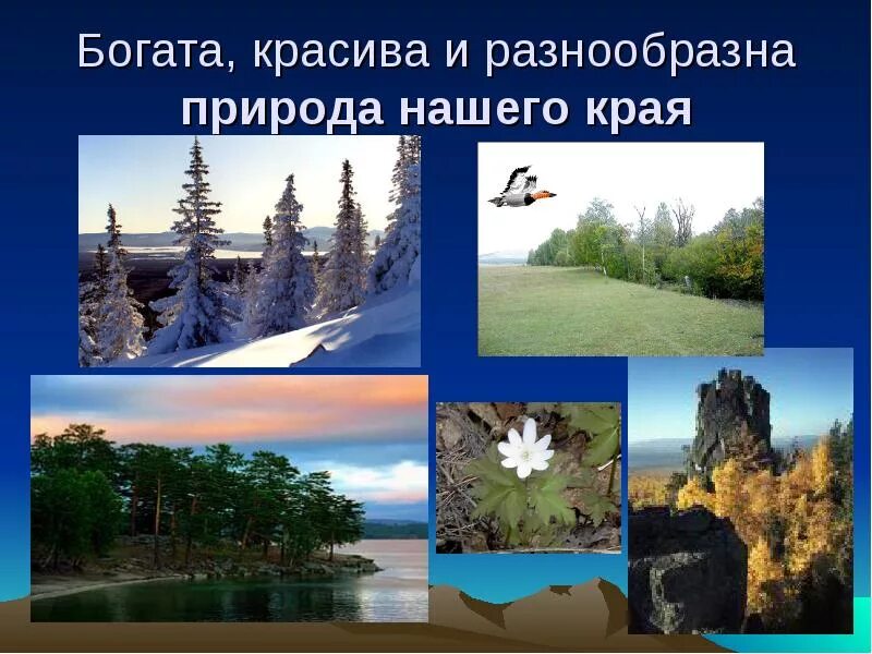 Разнообразие природы родного края башкортостан. Разнообразие природы. природа нашего края презентация. разнообразие природы края.. разнообразие природы нашего края.