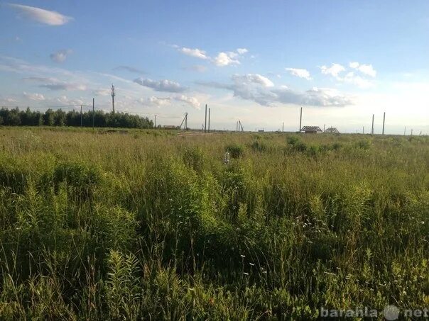 Фото земельных участков без построек Купить Садовый Участок (СНТ) на Восточной улице (деревня Сенцово) предложения