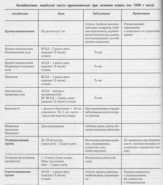 Антибиотик при укусе кошки. Как рассчитать дозу антибиотика для кошки. Дозировка антибиотиков для кошек. Какие антибиотики можно давать кошкам. Дозировка антибиотика для кота.