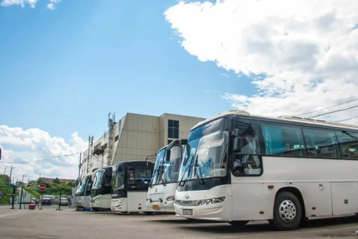 Автобус Новосибирск Купино. Автовокзал Купино. Автобус Купино автовокзал. Бухмиллер автобус Карасук. Новосибирск автобус ру