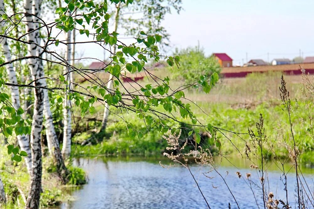центральное раздолье коттеджный поселок. раздоры парк раздолье.