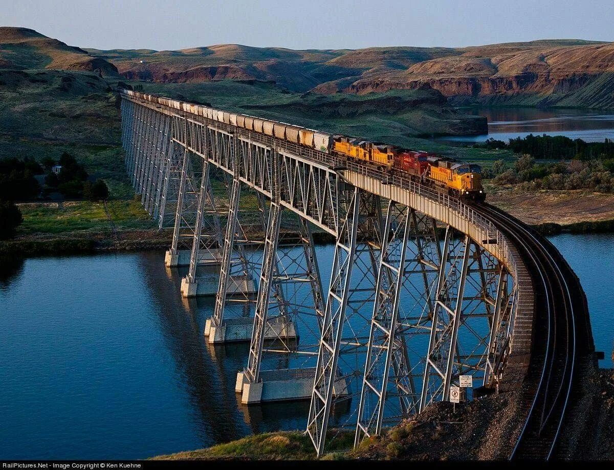 Bridge net