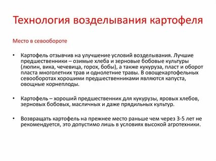 Внедрение более производительных технологий выращивания картофеля