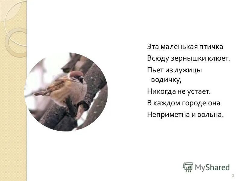 басня толстого курица и baba. курица клюющая деньги. не горит в огне клюет по зернышку. курочка по зернышку клюет. высказывания о бережном отношении к птицам.