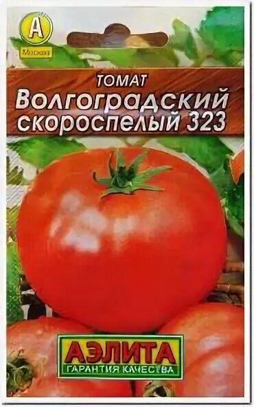 Томат волгоградский скороспелый характеристика. Томаты волгоградские на грядке. Томат волгоградский 323. Томаты волгоградский скороспелый описание. Волгоградский скороспелый 323.