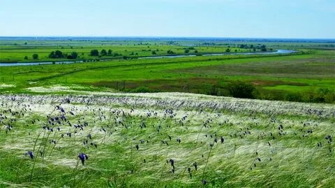 Самая большая степная заповедная территория