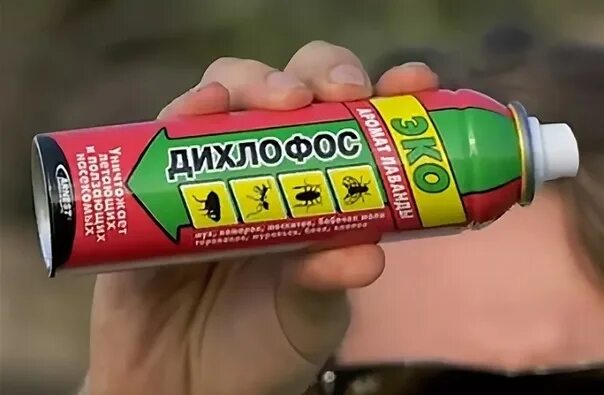 Отравление дихлофосом. Дихлофос-нео универсальный 600 см3. Дехлофос. Дехлофос. Дихлофос нео 140мл.